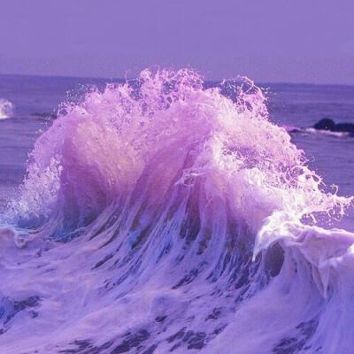 竞猜足球app手机app下载